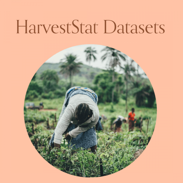 A woman tending to the land and a title: HarvestStat Datasets