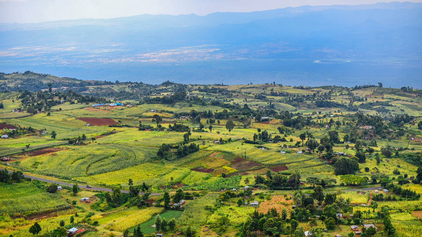 Farms in Kenya
