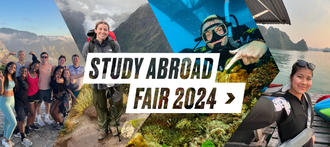 Study Abroad promotional flyer